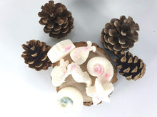 Load image into Gallery viewer, Wild Flowers Scent Wax Melts Various Shapes Harbourside Gifts
