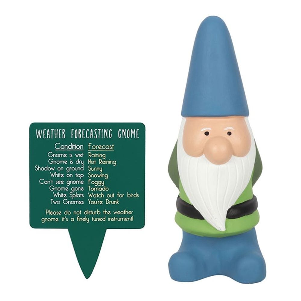Large Weather Forecasting Gnome S03720136 N/A