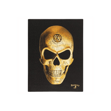 Load image into Gallery viewer, Omega Skull Canvas Plaque by Alchemy. 19x25cm S03722286 N/A
