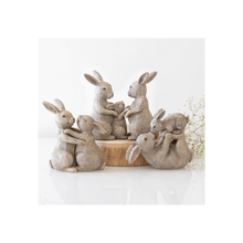 Load image into Gallery viewer, Some Bunny Loves You Ornament S03721542 N/A
