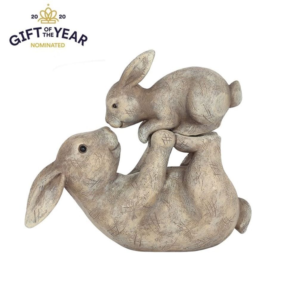Some Bunny Loves You Ornament S03721542 Unbranded