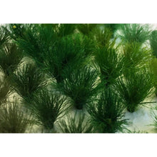 Load image into Gallery viewer, Tasma Products N Gauge Railway Scenery Assorted Grass Tufts Tasma
