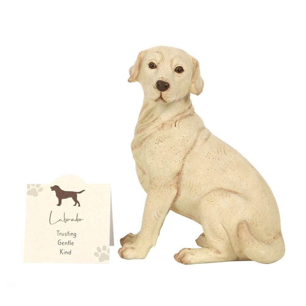 Yellow Labrador Dog Ornament S03720126 N/A