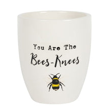 Load image into Gallery viewer, You Are the Bees Knees Ceramic Plant Pot S03721312 N/A
