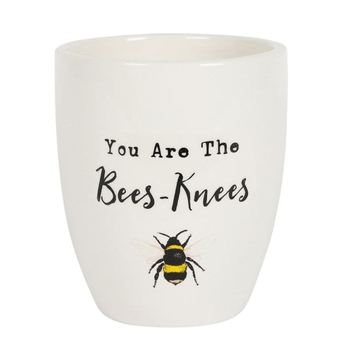 You Are the Bees Knees Ceramic Plant Pot S03721312 N/A
