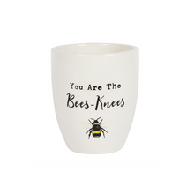 Load image into Gallery viewer, You Are the Bees Knees Ceramic Plant Pot S03721312 N/A
