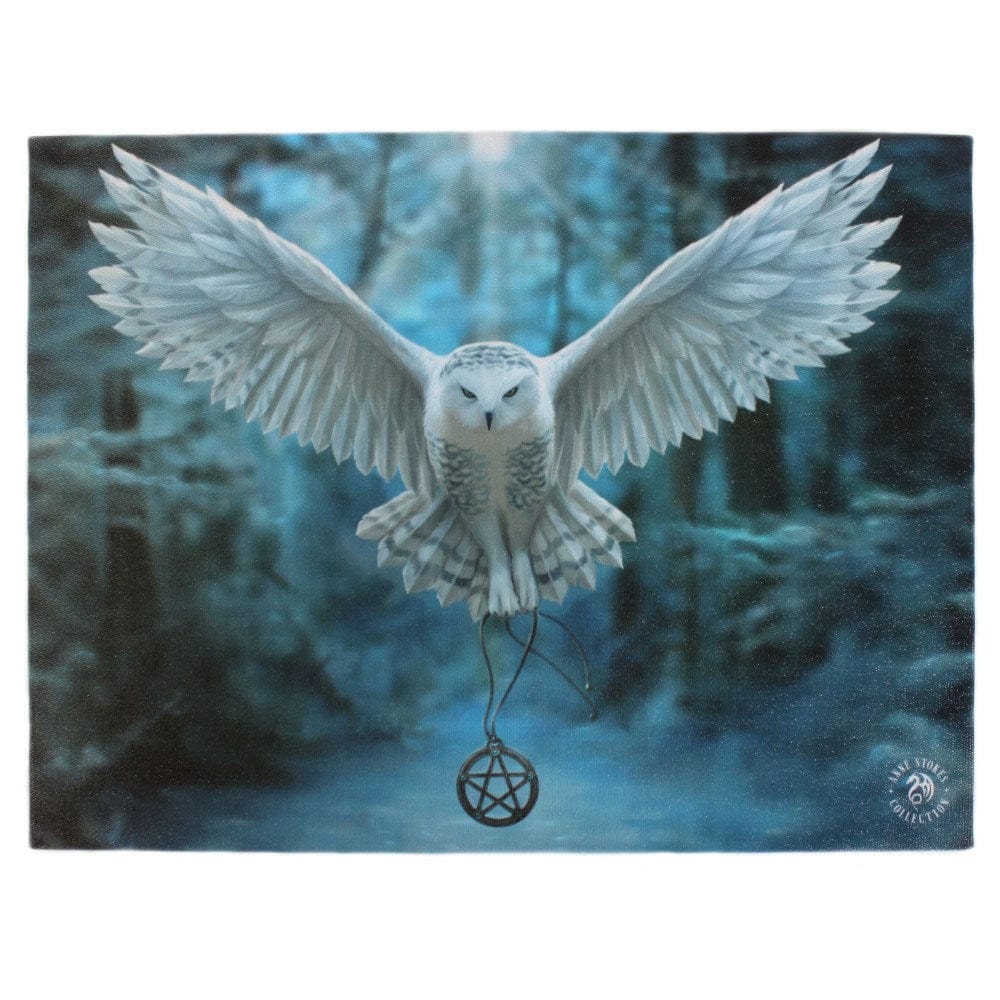 Awake Your Magic Canvas Plaque by Anne Stokes 25x19cm WP_03235 Harbourside Gifts