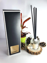 Load image into Gallery viewer, Christmas Morning Scent Reed Diffuser 100ml with 6 High Quality Reeds in a Gift Box CMORN100 Harbourside Gifts
