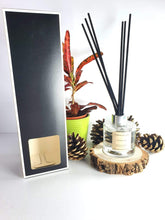Load image into Gallery viewer, Festive Fir Reed Diffuser 100ml with 6 High Quality Reeds in a Gift Box FFD100 Harbourside Gifts
