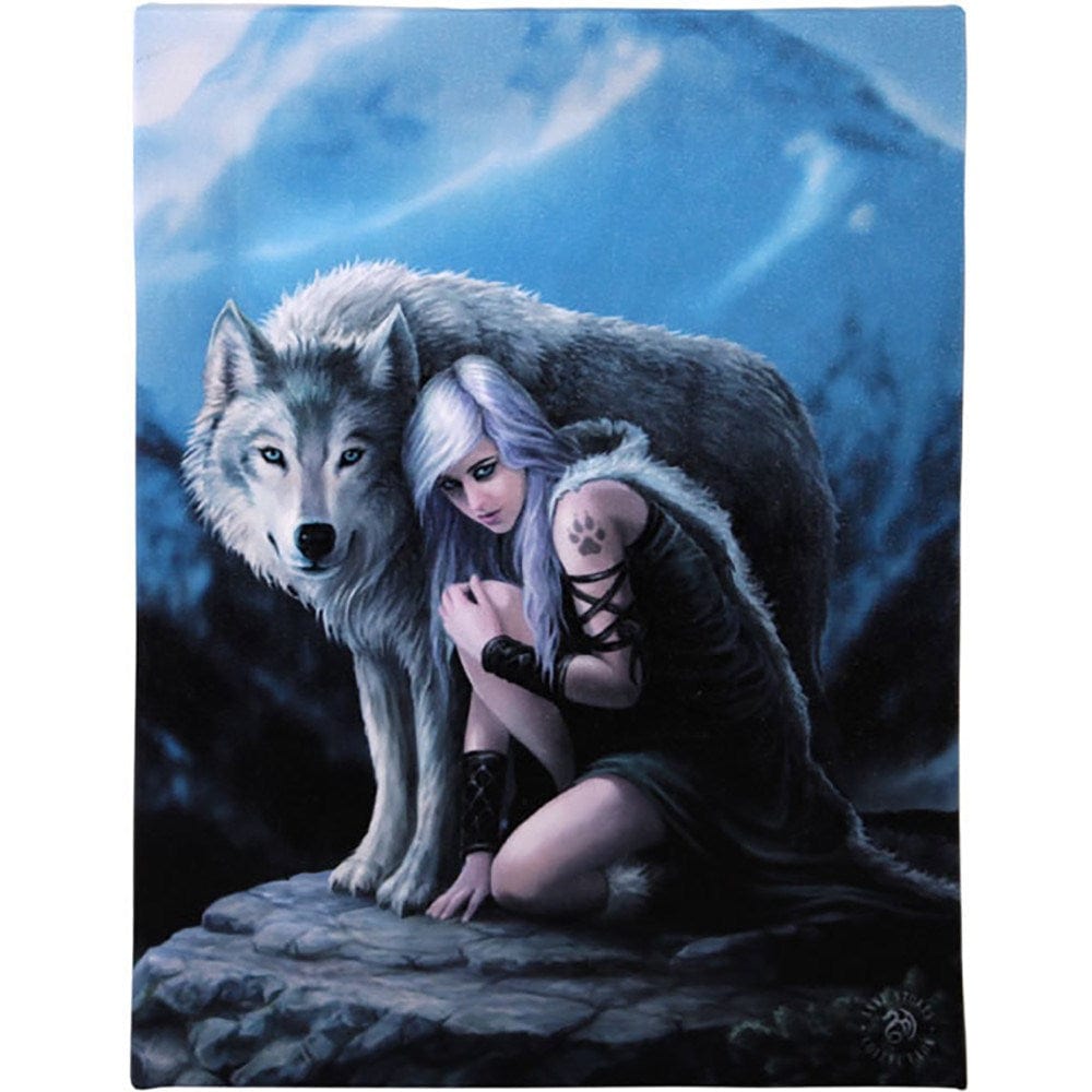 Protector Canvas Plaque by Anne Stokes 19x25cm WP_55214 Harbourside Gifts